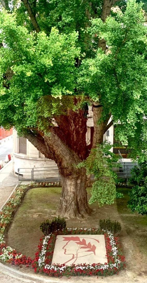 Ravenna Suite Exteriör bild